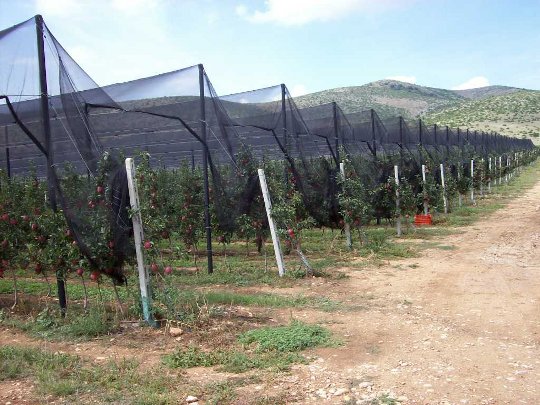 Επέκταση του προγράμματος αντιχαλαζικής προστασίας του 2011 προωθεί ο ΕΛΓΑ